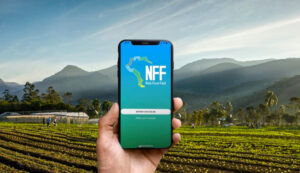 Produtores rurais terão emissão obrigatória de nota fiscal eletrônica a partir de 5 de janeiro de 2026