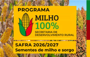 Inscrições para o programa Milho 100%