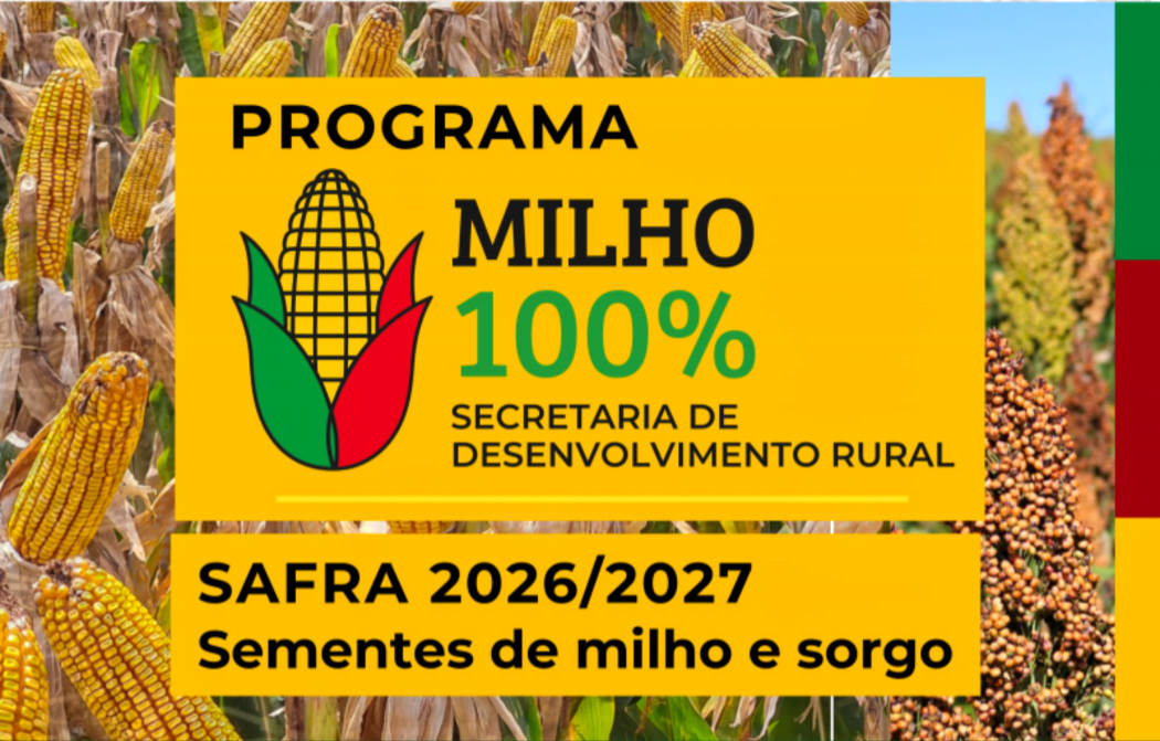 Inscrições para o programa Milho 100%
