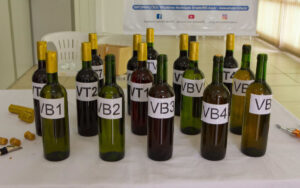 Vinhos participantes da XVIII Mostra Municipal de Vinhos Artesanais foram avaliados