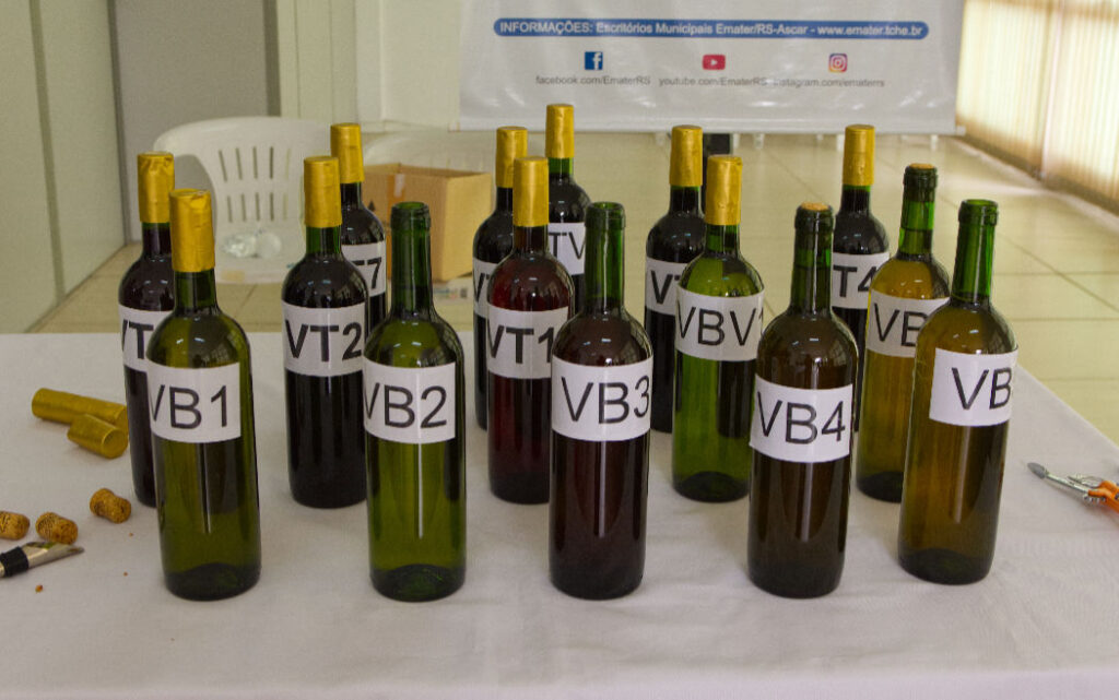 Vinhos participantes da XVIII Mostra Municipal de Vinhos Artesanais foram avaliados
